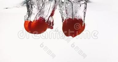 红番茄、茄果、落在水中的中的果实，